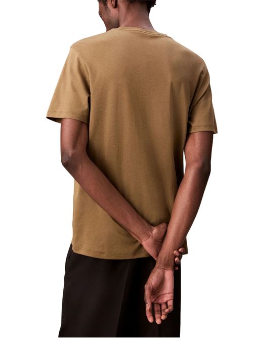 T-shirt in cotone Calvin Klein | LV04LB275GVFB